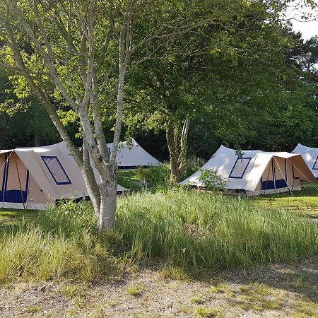Ameland Tentenverhuur Nes  Extérieur photo