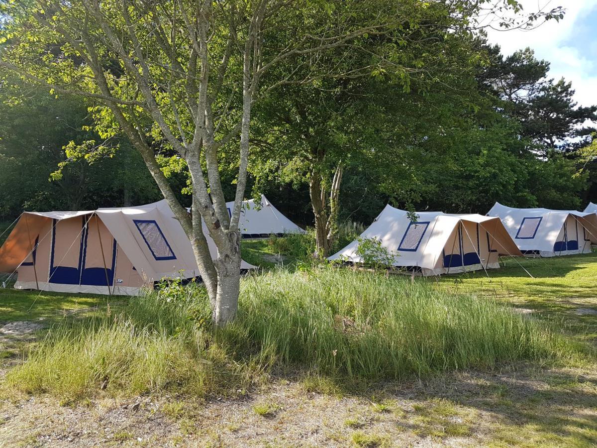 Ameland Tentenverhuur Nes  Extérieur photo