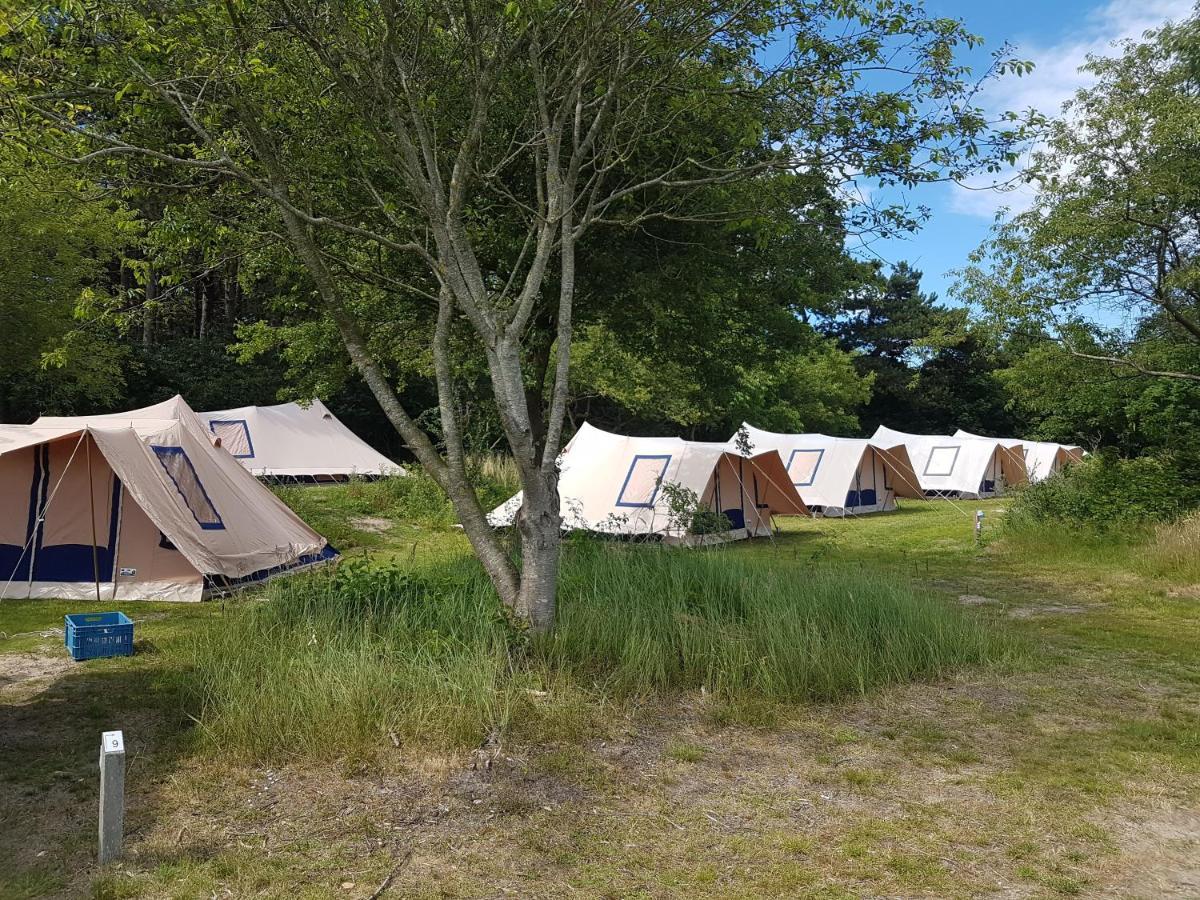Ameland Tentenverhuur Nes  Extérieur photo